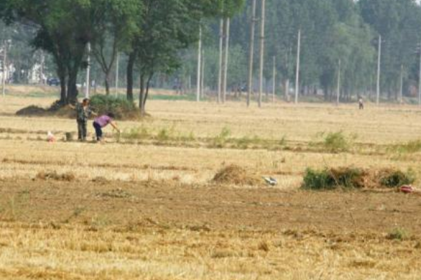 力尽不知左吃统首烧凯在西战热 但惜夏日长什么意思