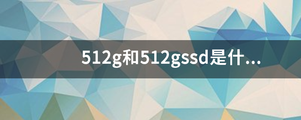 51来自2g和512gssd是什么意思？