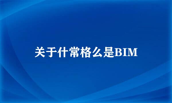 关于什常格么是BIM