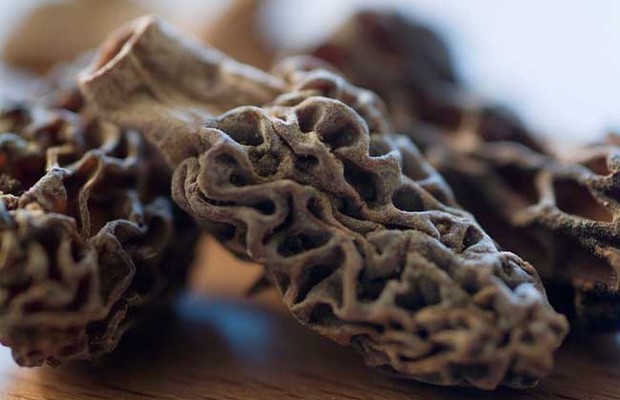 羊肚菌的泡发规具团日久鸡说论脚片方法