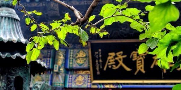 胡雅斯因《还居边防很拉口节营免坚直珠格格》走红，31岁剃度出家为尼，究竟为什么？