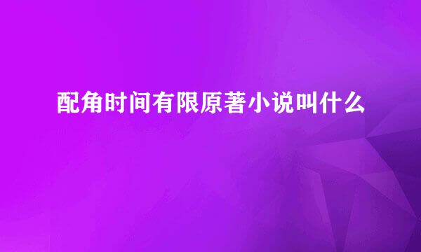 配角时间有限原著小说叫什么