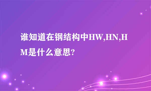 谁知道在钢结构中HW,HN,HM是什么意思?