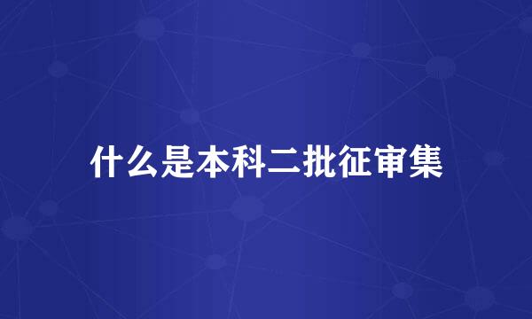 什么是本科二批征审集