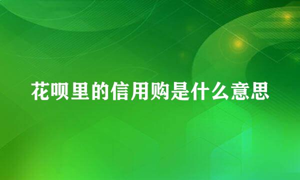 花呗里的信用购是什么意思