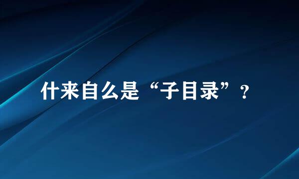 什来自么是“子目录”？