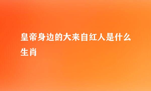 皇帝身边的大来自红人是什么生肖