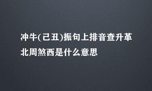 冲牛(己丑)振句上排音查升革北周煞西是什么意思