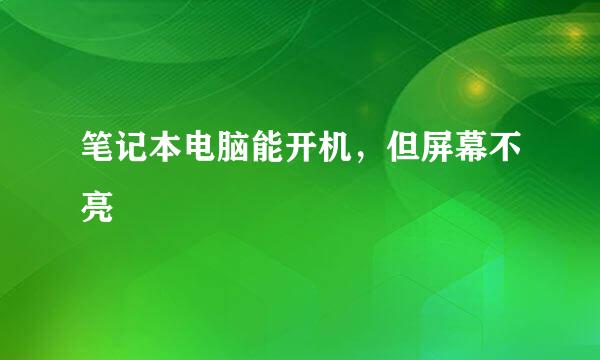 笔记本电脑能开机，但屏幕不亮