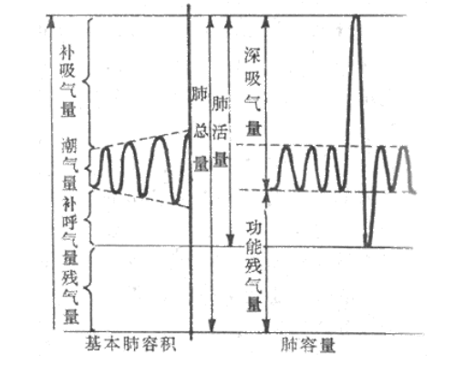 平静呼气后肺内残留的气量称作为