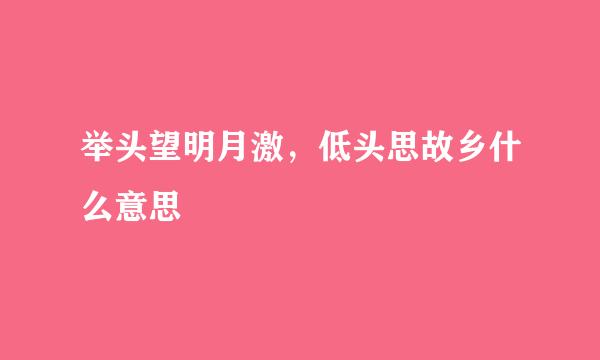 举头望明月激，低头思故乡什么意思