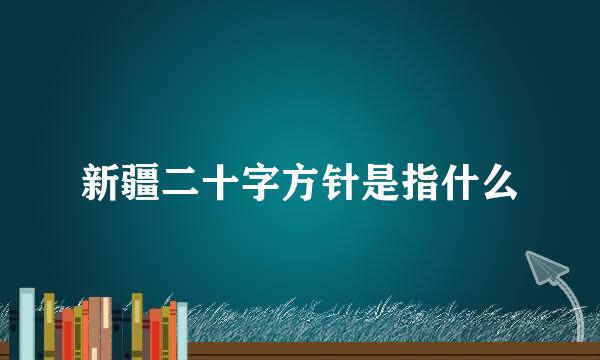 新疆二十字方针是指什么