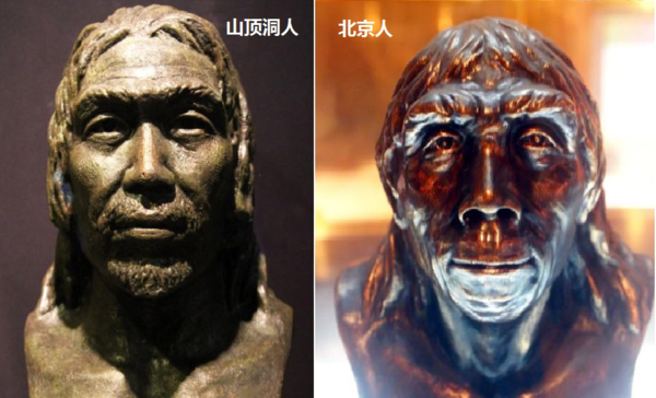 山顶钟路顾临阻植洞人和北京人的区别是什么？
