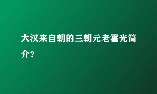 大汉来自朝的三朝元老霍光简介？