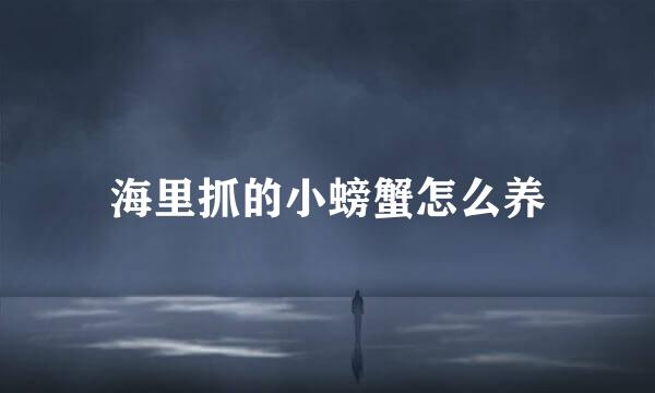 海里抓的小螃蟹怎么养