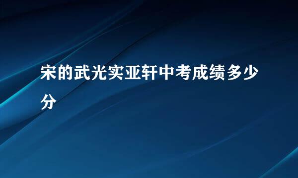 宋的武光实亚轩中考成绩多少分