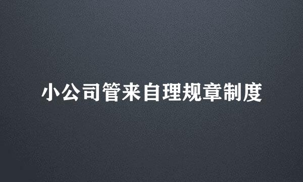 小公司管来自理规章制度
