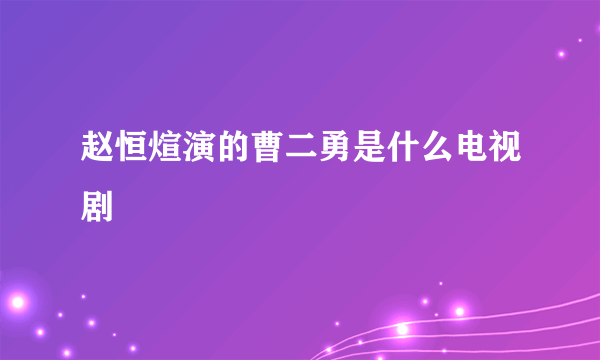 赵恒煊演的曹二勇是什么电视剧