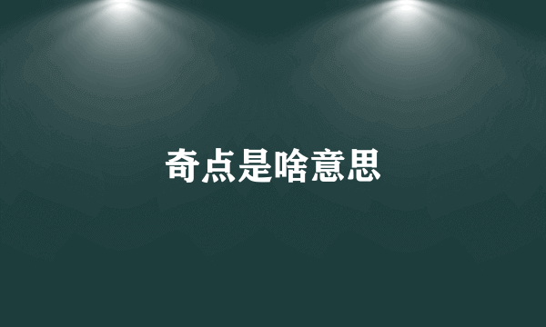 奇点是啥意思
