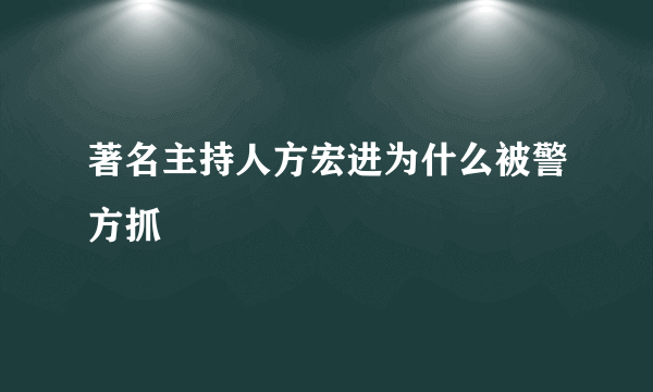著名主持人方宏进为什么被警方抓