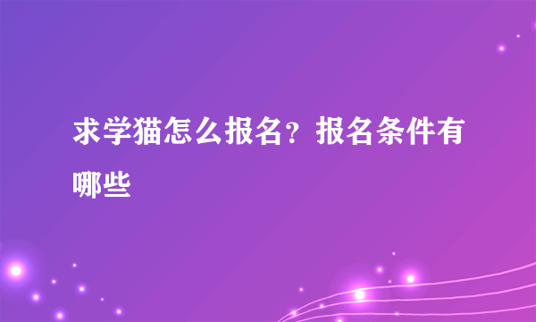 求学猫怎么报名？报名条件有哪些