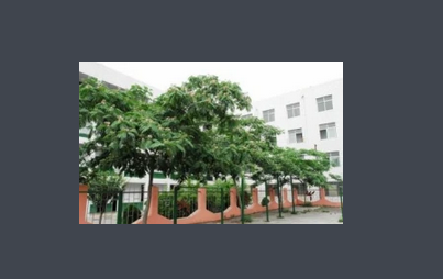 新汶中学 楼德二中 汶城中学 那个好?啊。