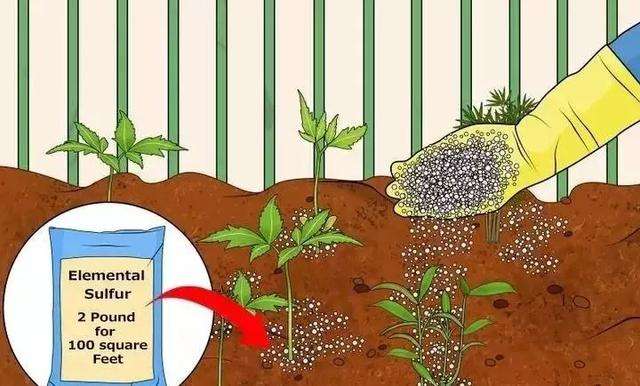 怎样调节土壤的酸碱度
