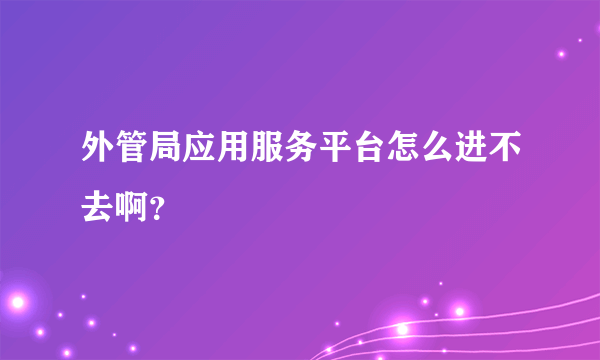 外管局应用服务平台怎么进不去啊？
