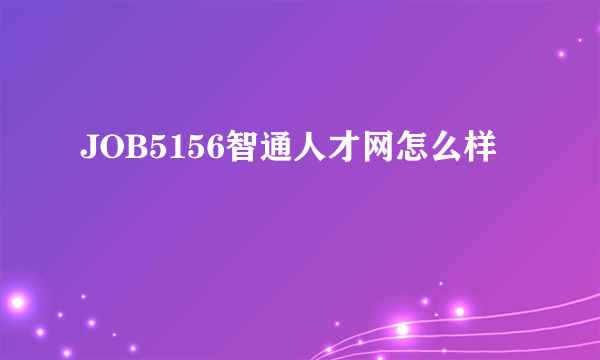 JOB5156智通人才网怎么样