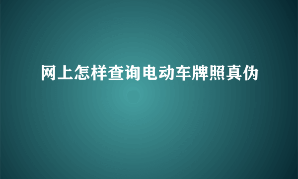 网上怎样查询电动车牌照真伪