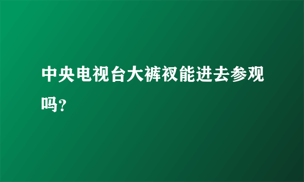 中央电视台大裤衩能进去参观吗？