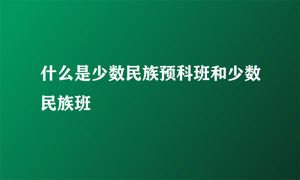 什么是少数民族预科班和少数民族班