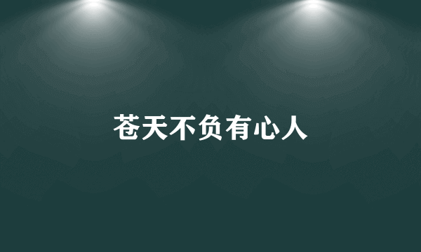苍天不负有心人