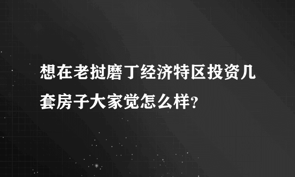 想在老挝磨丁经济特区投资几套房子大家觉怎么样？