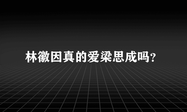 林徽因真的爱梁思成吗？