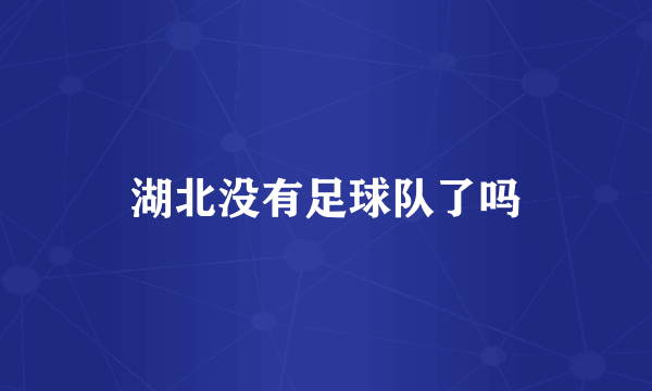 湖北没有足球队了吗