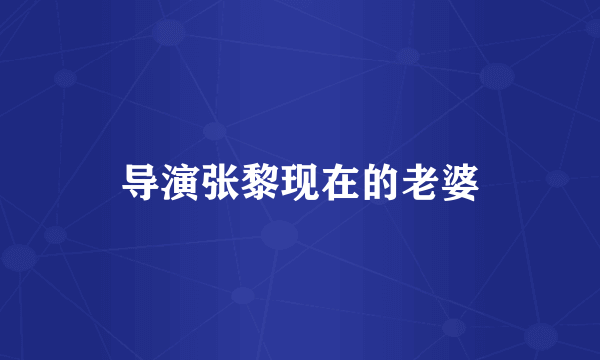 导演张黎现在的老婆