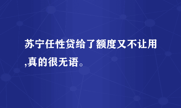 苏宁任性贷给了额度又不让用,真的很无语。