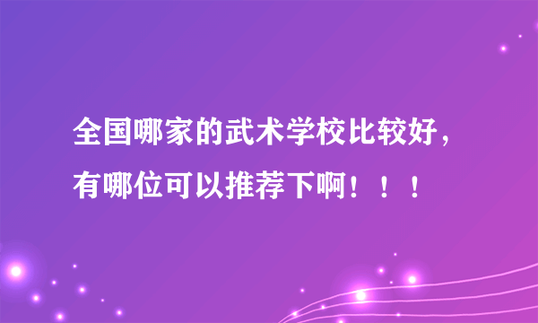 全国哪家的武术学校比较好，有哪位可以推荐下啊！！！