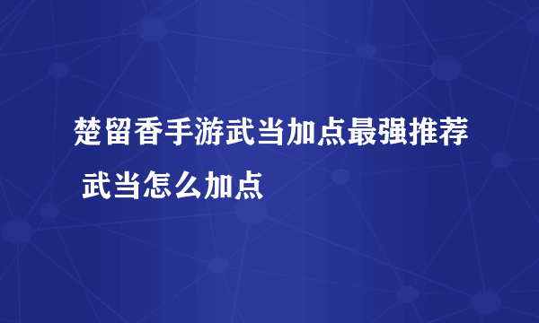 楚留香手游武当加点最强推荐 武当怎么加点