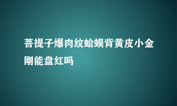 菩提子爆肉纹蛤蟆背黄皮小金刚能盘红吗