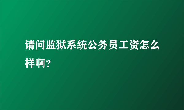 请问监狱系统公务员工资怎么样啊？