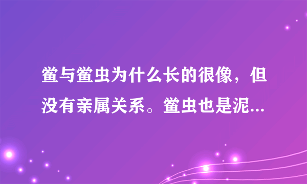 鲎与鲎虫为什么长的很像，但没有亲属关系。鲎虫也是泥盆纪年代的动物吗？