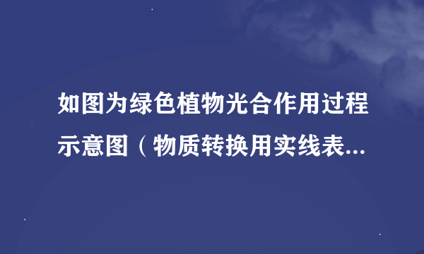 如图为绿色植物光合作用过程示意图（物质转换用实线表示，能量传递用虚线表示，图中a～g为物质，①～⑥为