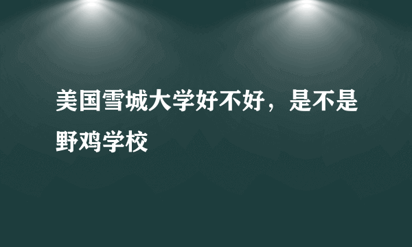 美国雪城大学好不好，是不是野鸡学校
