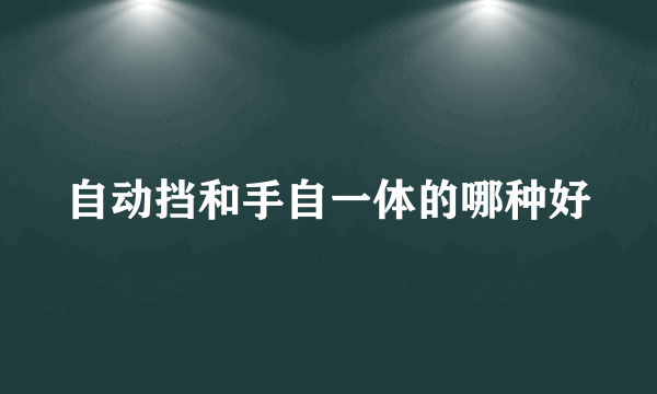自动挡和手自一体的哪种好