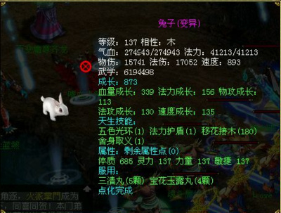 问道飞天鼠 玄灵兔