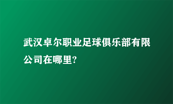 武汉卓尔职业足球俱乐部有限公司在哪里?