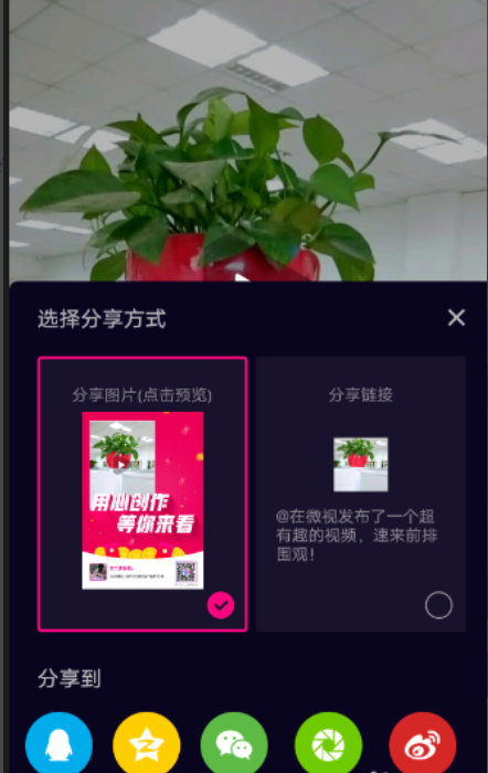 微视分享红包每天领取上限是多少个