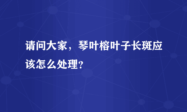 请问大家，琴叶榕叶子长斑应该怎么处理？